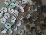 Shell buttons - Flower Natural color 12mm