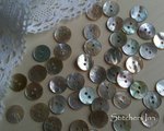Shell Buttons - Round 15mm