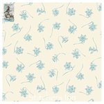 Bluebird - Paper Whites Ice Cave